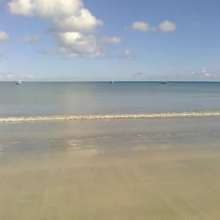 Daire Kernow Trek New Quay